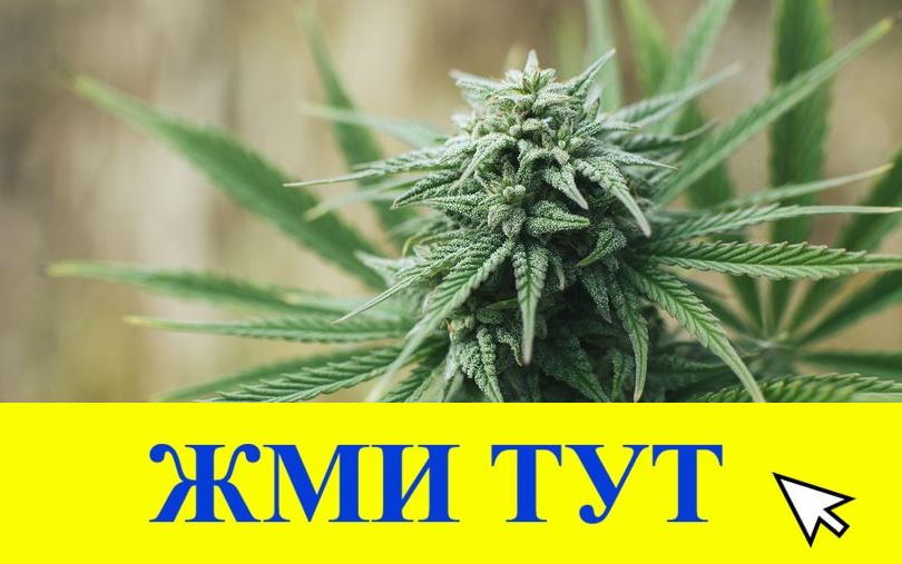 Купить наркотики в Туймазы